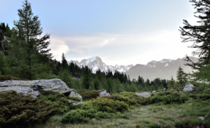 Beautiful nature