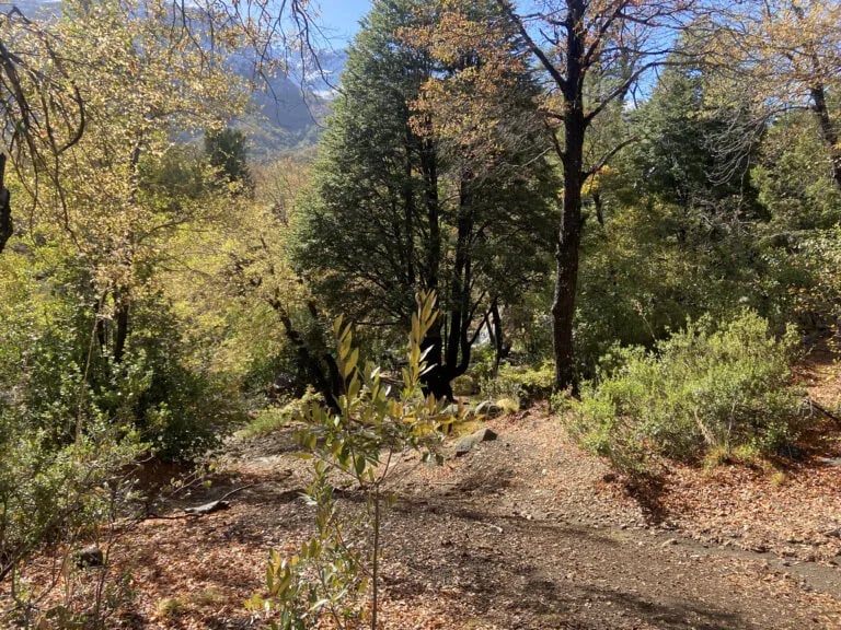 Camping Las Vertientes