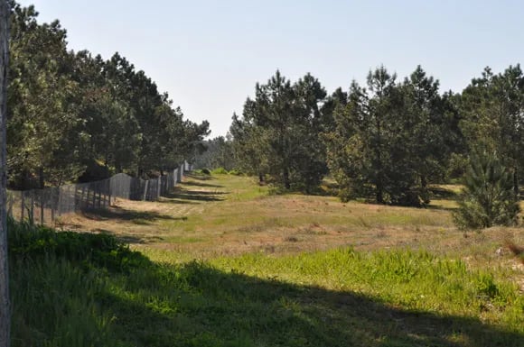 Camping Fautais gallery 1