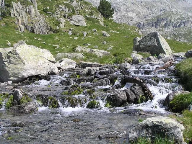 Camping del Remei gallery 1