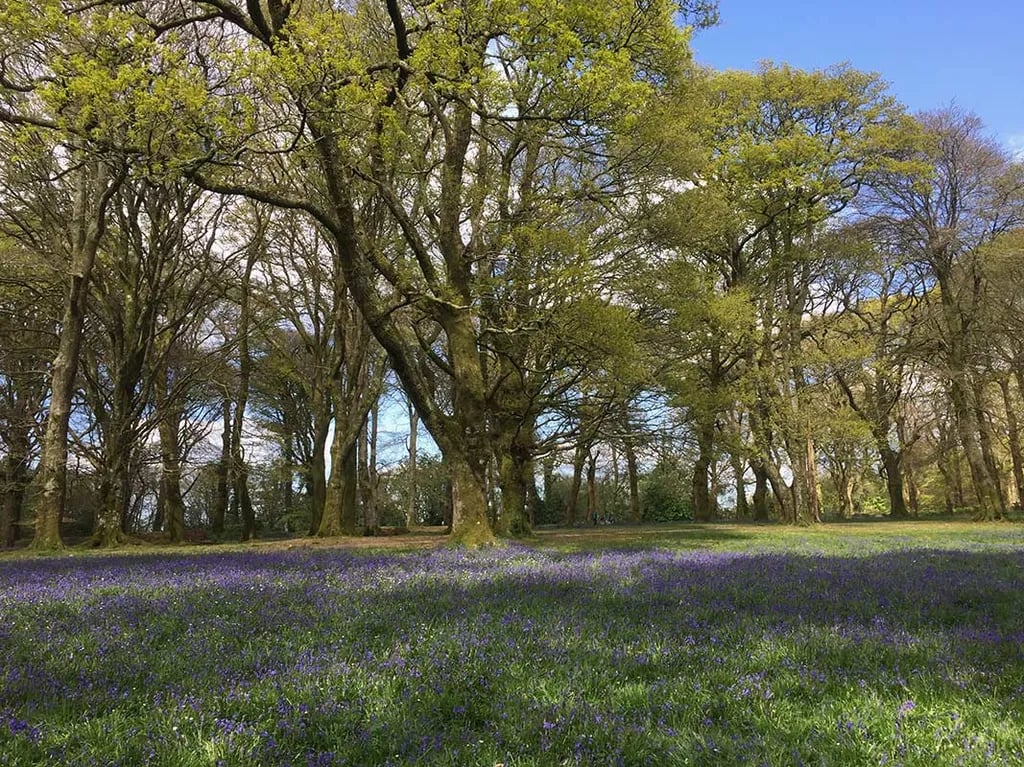 Leacroft Touring Park gallery 1