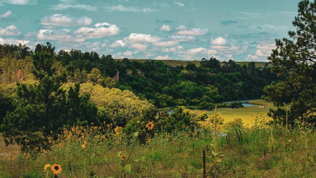 Berry Bridge Campground gallery 2