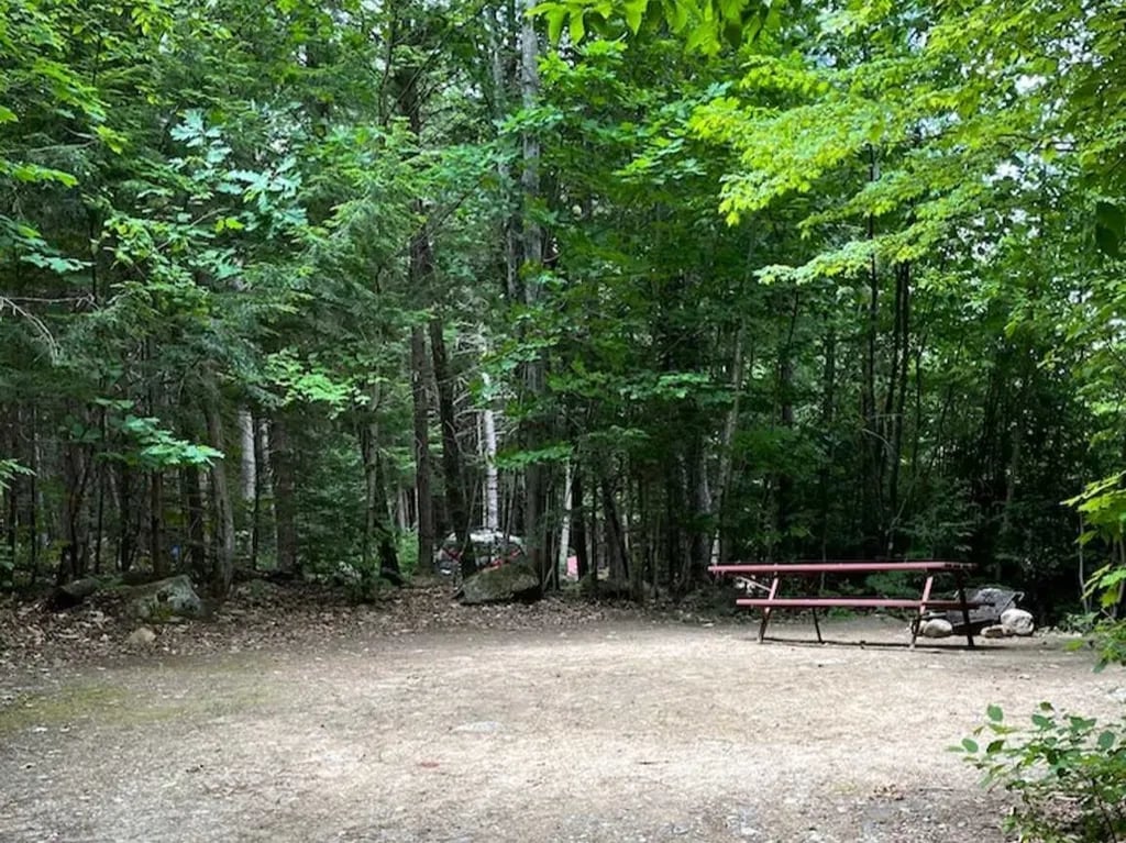 White Birches Camping Park gallery 2