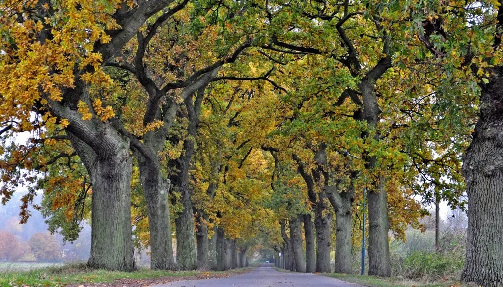 Störtebeker-Camp gallery 3