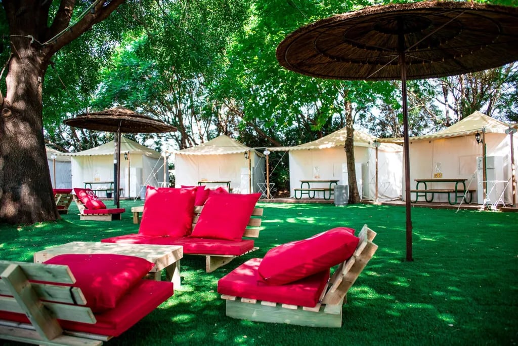 בלום וילג’