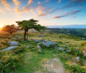 Dartmoor National Park  