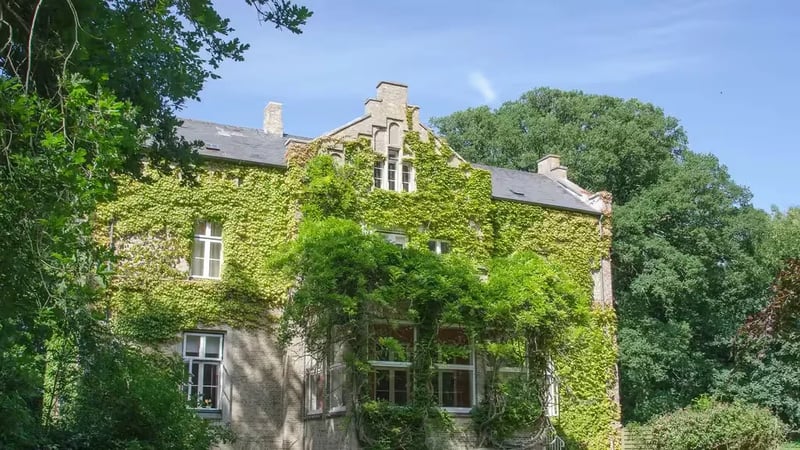 Camping Hohes Ufer gallery 2