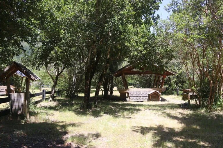 Camping Trafanpulli gallery 3