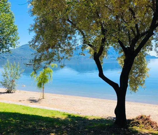 Camping Lido Cannero gallery 3