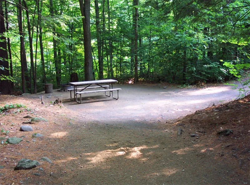 Townshend State Park — Townshend State Forest