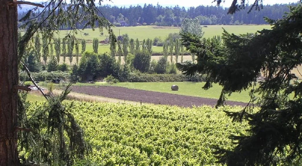 Lopez Farm Cottages & Tent Camping