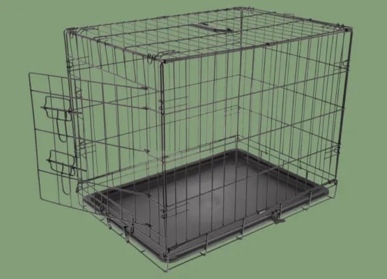 Griffon Forest gallery 1