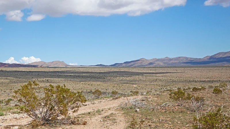 Jean Roach Dry Lakebed Camp gallery 3