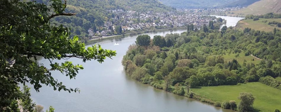 Campingplatz Gülser Moselbogen gallery 3