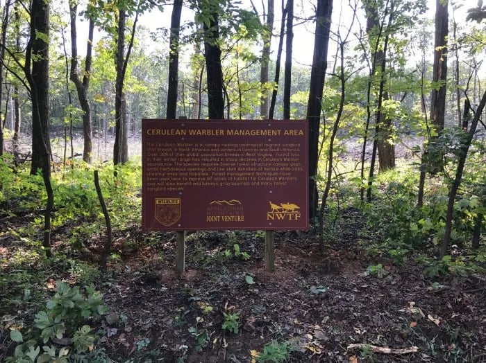 Bluestone Wildlife Management Area — Bluestone Lake Wildlife Management Area gallery 1