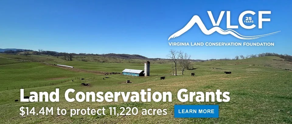 Cliffview Campground — New River Trail State Park gallery 2