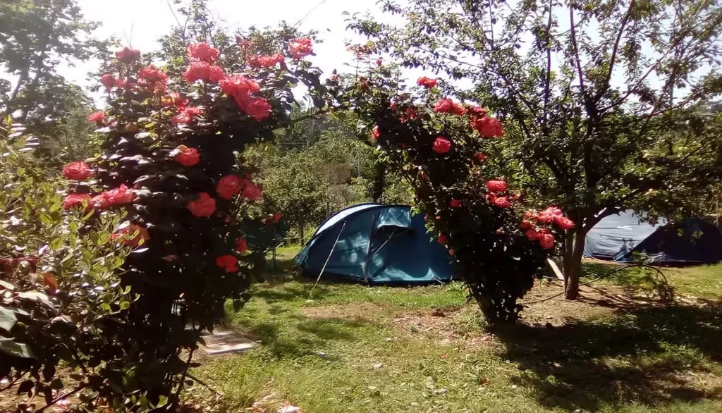 Agricamping Oasi del Belvivere gallery 2