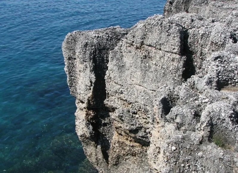 Camping La Primula gallery 3