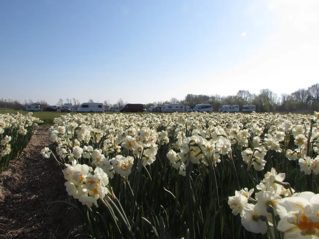 Camping Julianadorp Aan Zee
