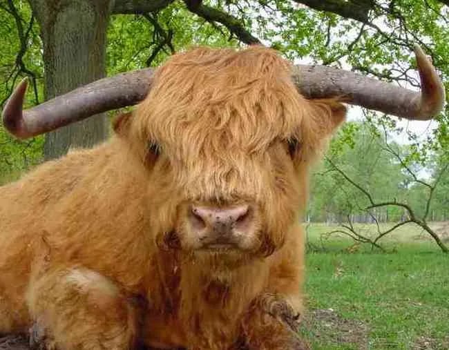 Camping De Bronzen Emmer gallery 2