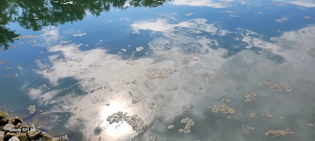 Shady Acres RV Park gallery 1