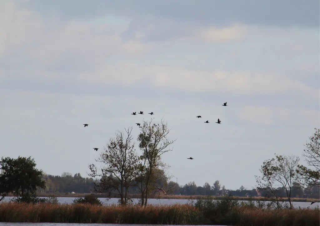 Camping De Bosrand gallery 2