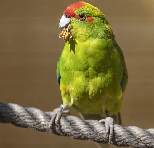 Camping La Sardane gallery 3