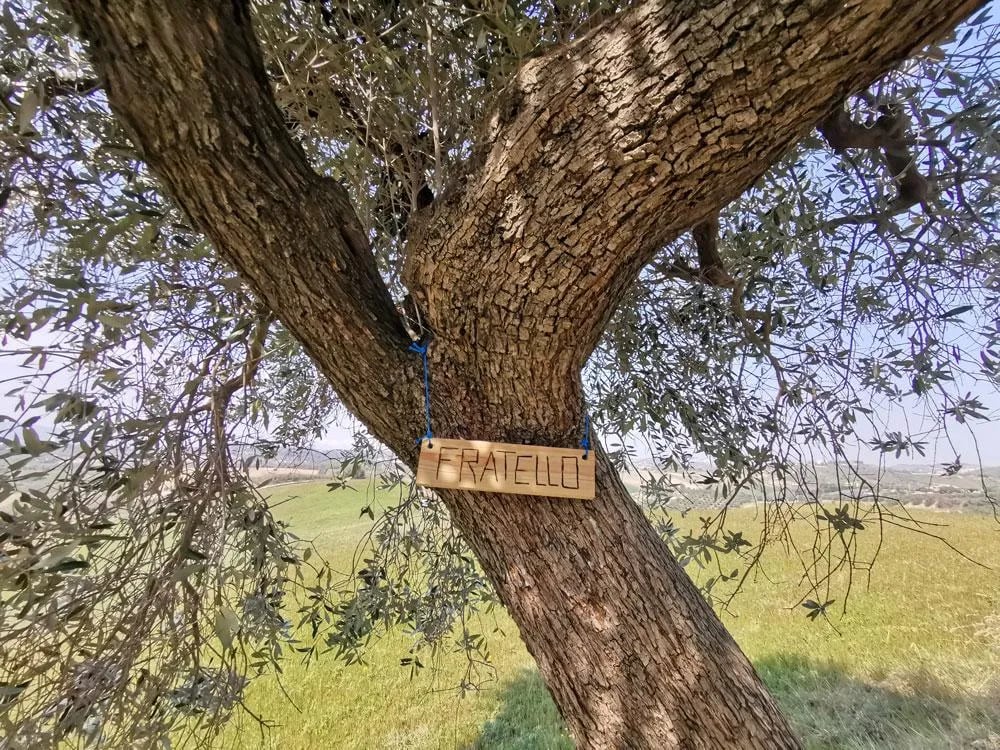 Camping Villa Bussola gallery 1