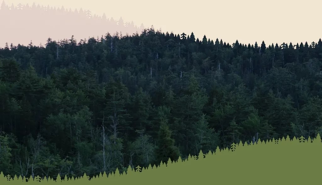 Porters Peak Adventure Getaway gallery 3