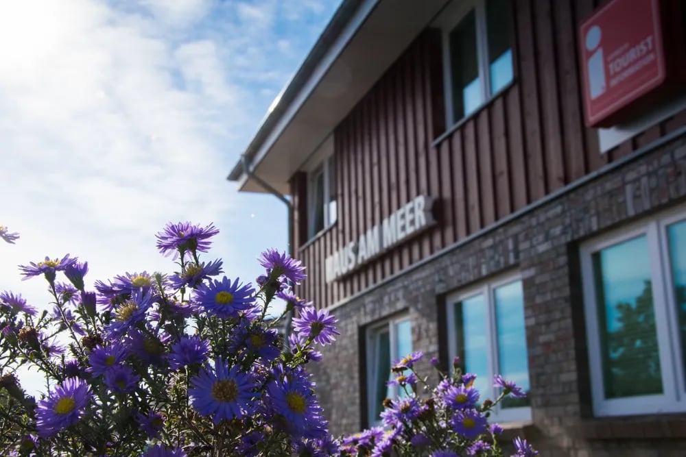 Campingplatz Großes Meer gallery 2