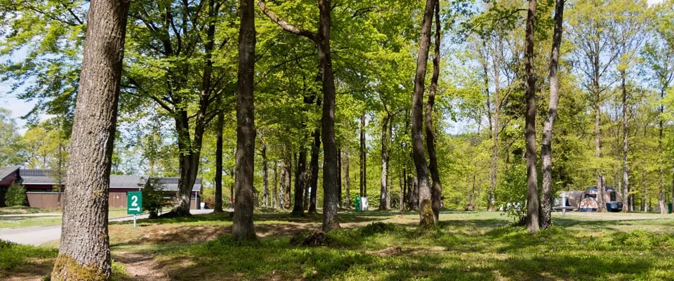 Camping Biggesee – Vier Jahreszeiten