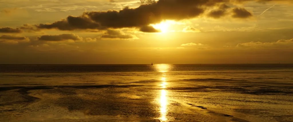 Recreatie De Zeehoeve gallery 1