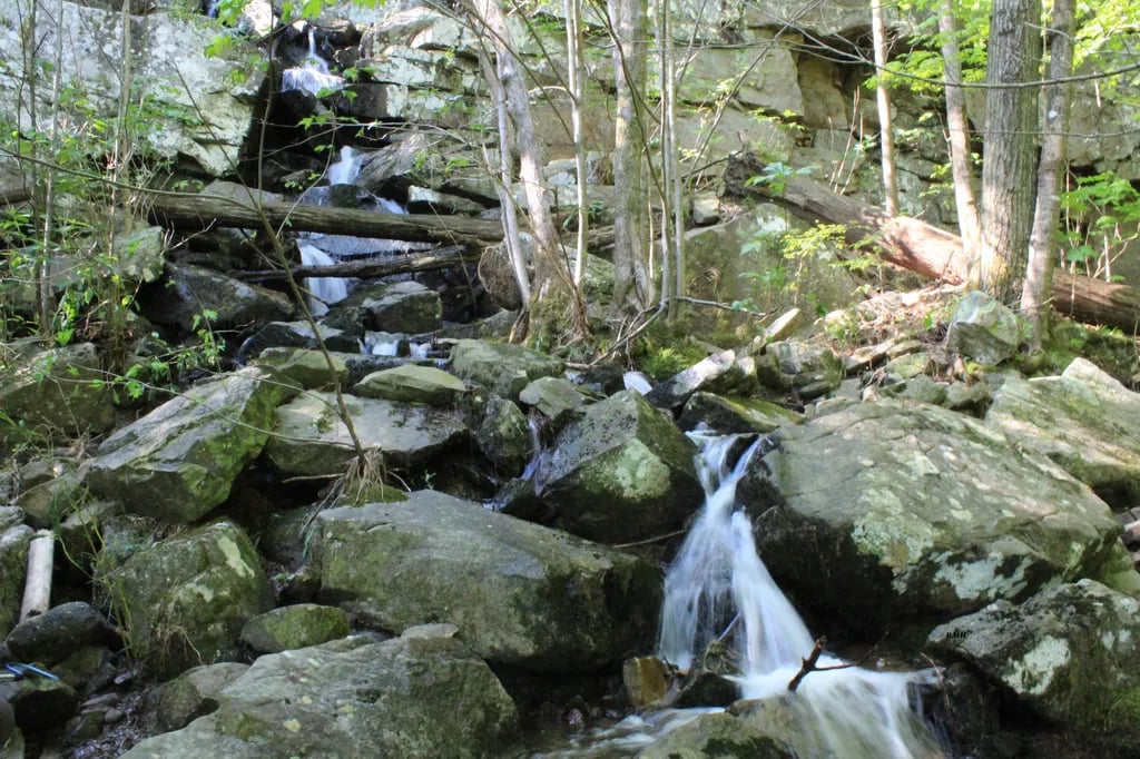 Buck’s Pocket State Park Campground gallery 1