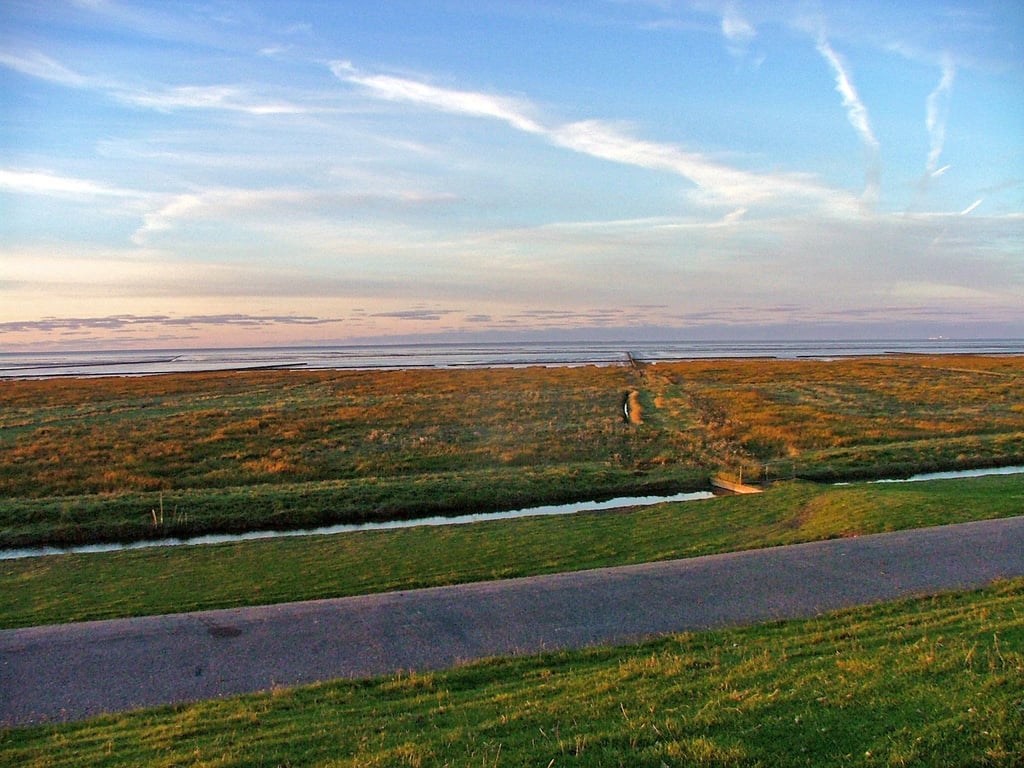 Camping Boetn Toen Pieterburen gallery 2