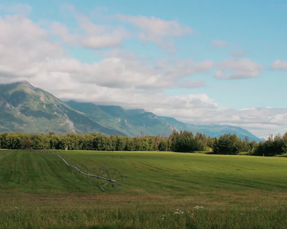 The Springer RV Park & Campground gallery 1