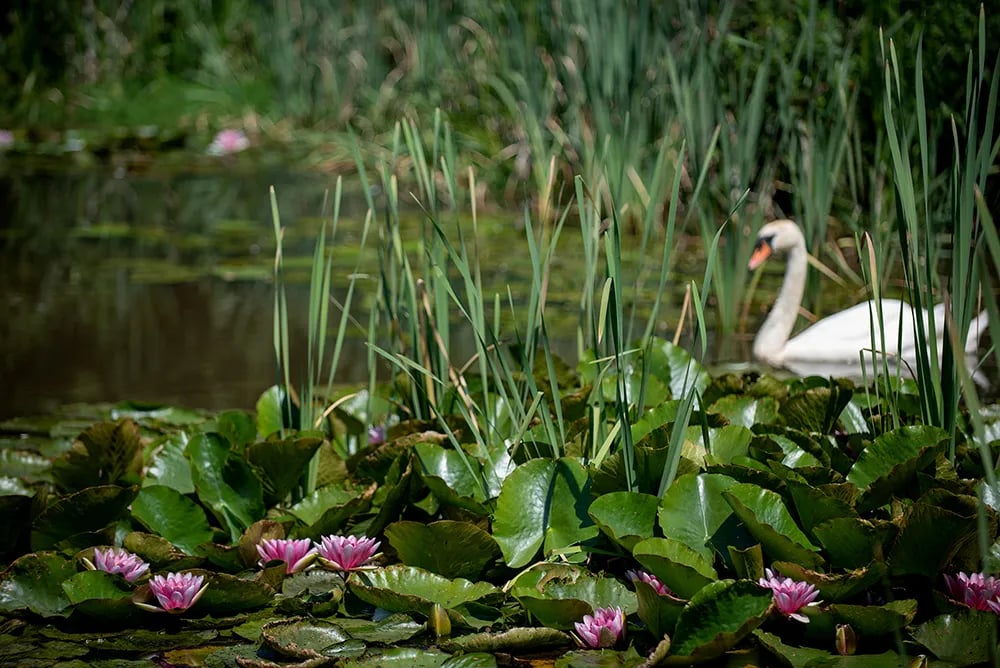 Back of Beyond Touring, Camping and Glamping Park gallery 1