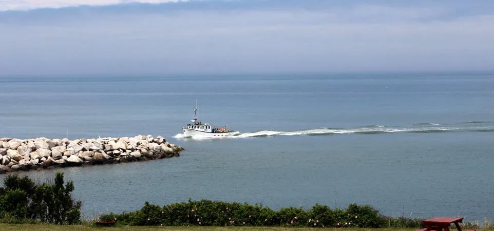 Cove Oceanfront Campground gallery 1
