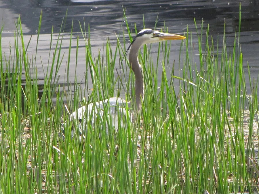 Sandy Beach Resort Inc