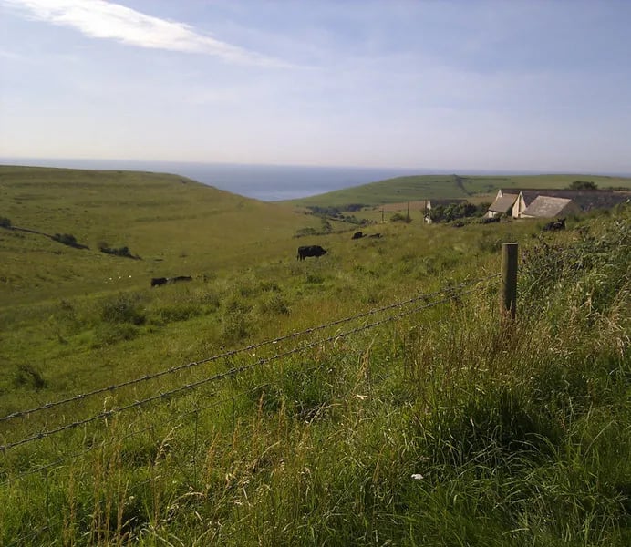 Tom’s Field Campsite & Shop gallery 3