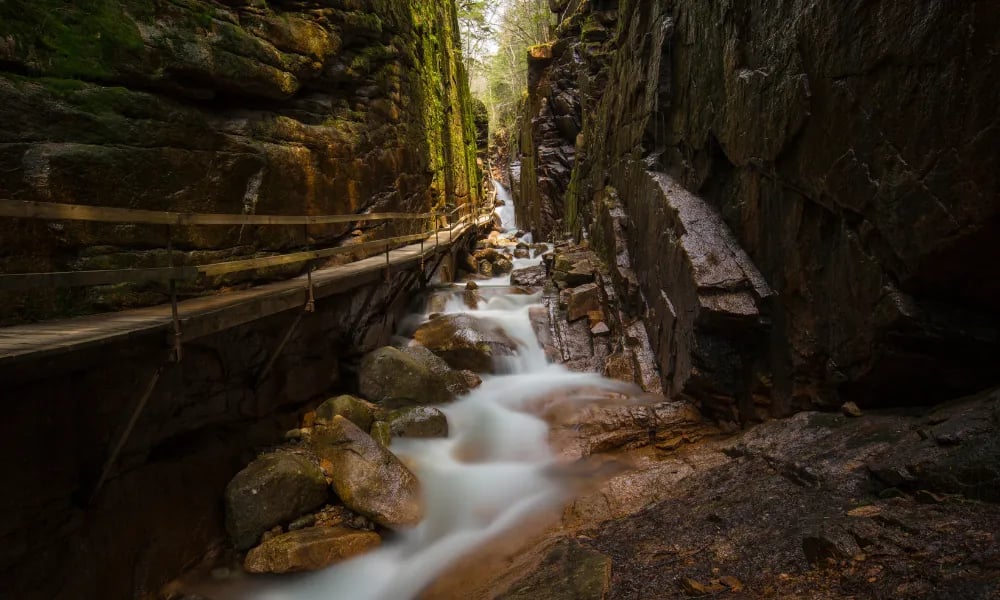 Lumen Nature Retreat gallery 2