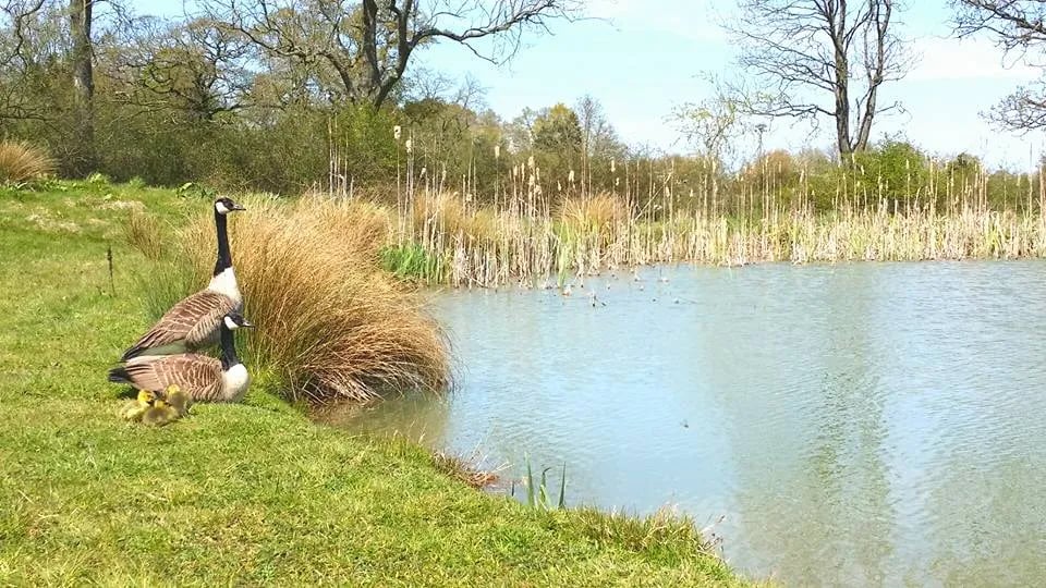 Dorset Country Holidays gallery 2