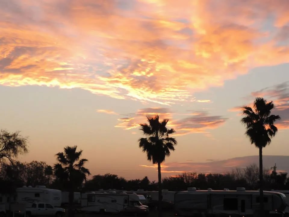 Lazy Palm Ranch gallery 1