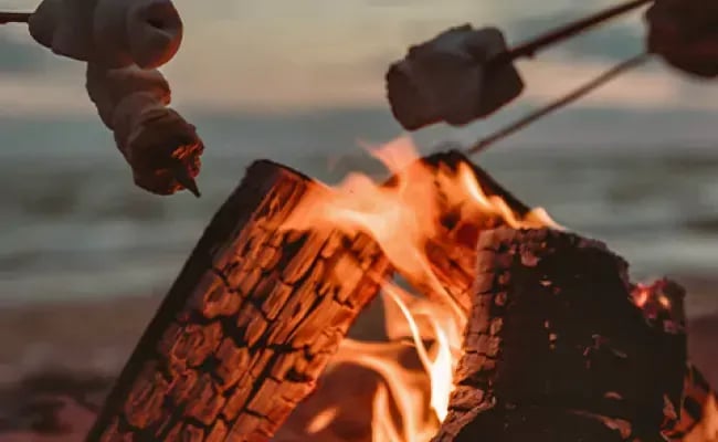 Phipps County Park gallery 3