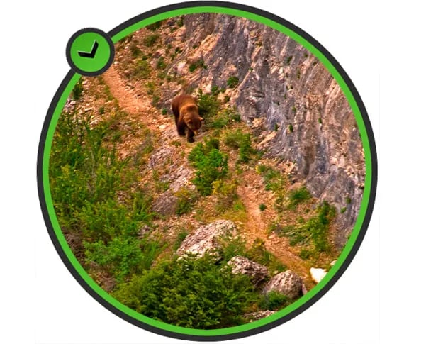 Camping las Majadas gallery 1