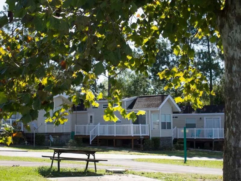 ThemeWorld RV Resort gallery 1