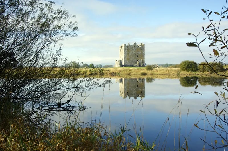 Cardoness Estate Holiday Park gallery 3