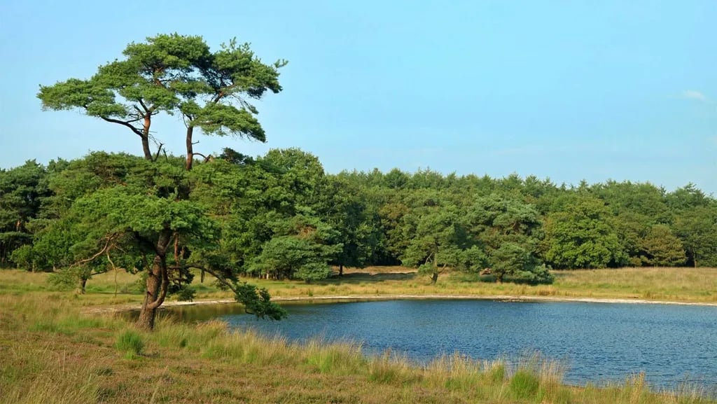 Molecaten Park Kuierpad gallery 2