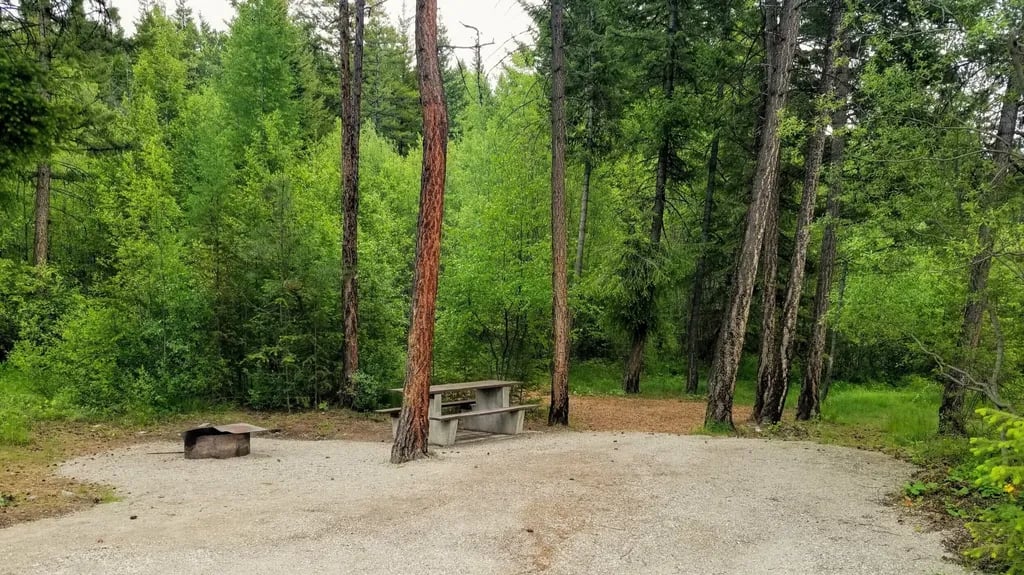 The Lost Moose gallery 1