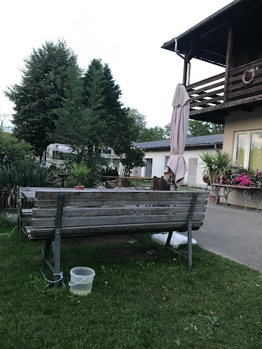 Forelle Steyr Camping
