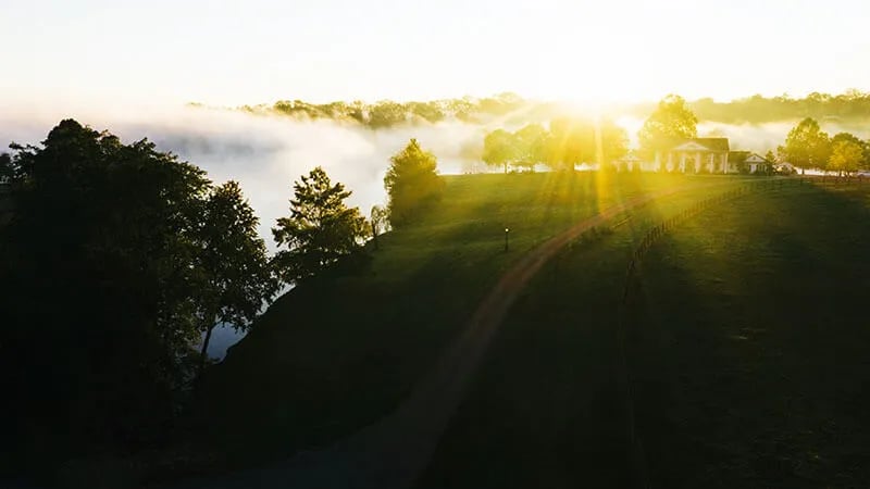 Queenslake Horse Farm gallery 1
